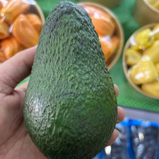 墨西哥牛油果一个牛油果同城