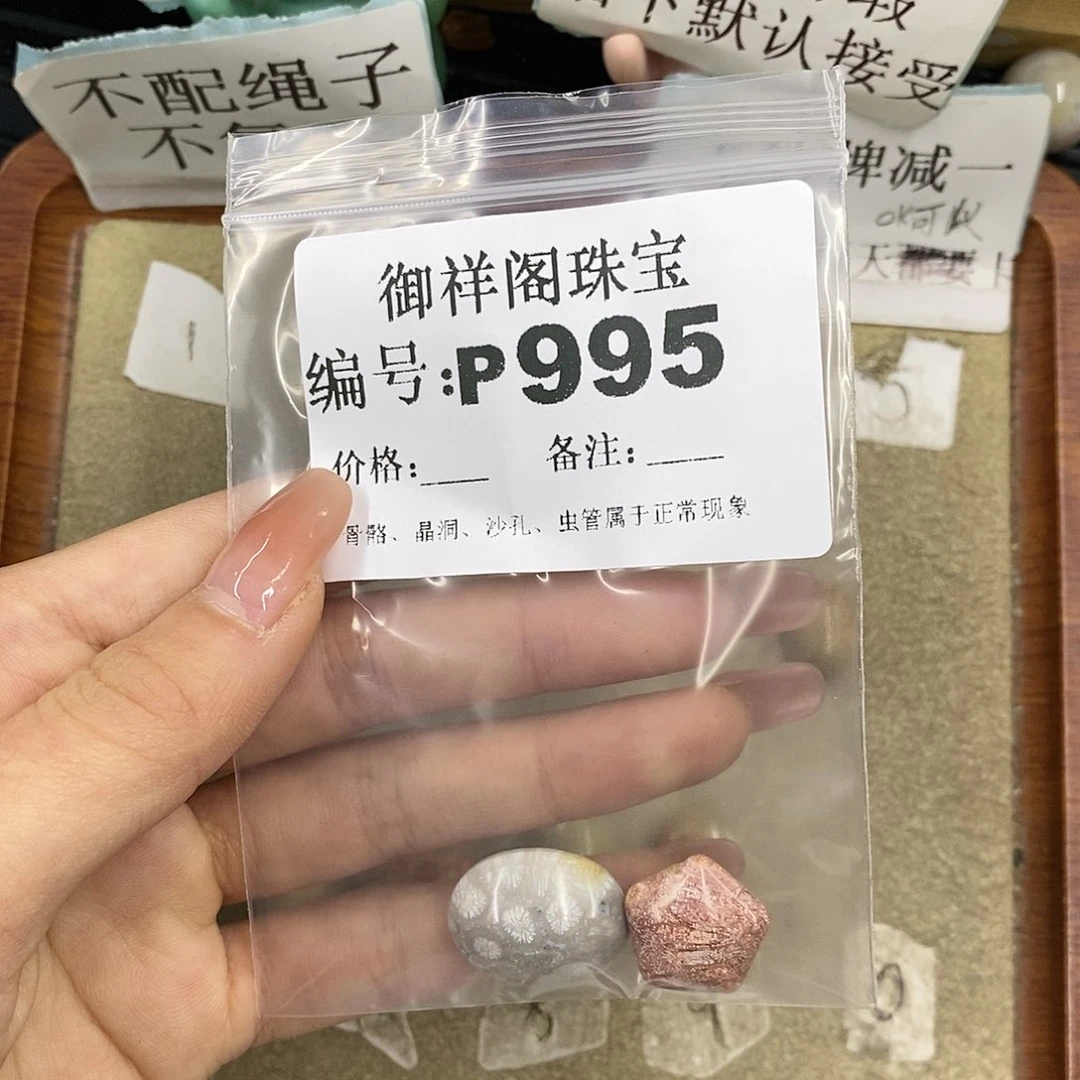 硅化珊瑚（珊瑚玉）未镶嵌颈饰1*2