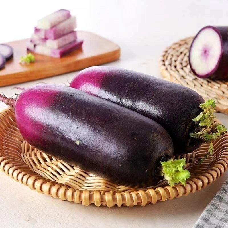 潍坊冰淇淋水果萝卜新鲜现拔农家自种汁水甜脆生吃冰糖心沙窝萝卜