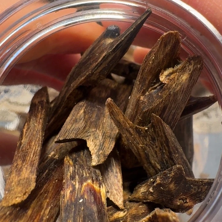 沉香碎屑沉香用****1海南棋楠老白棋树心油块料40克