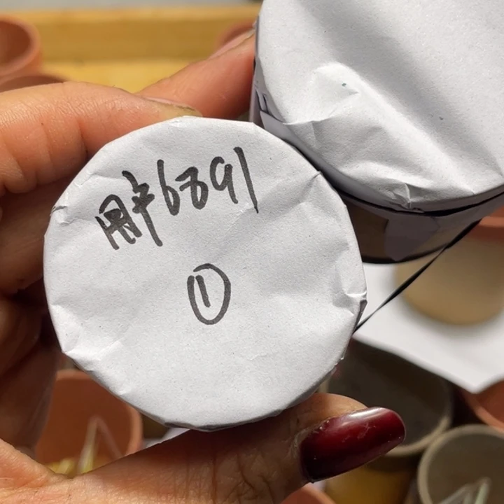 用***2蟋蟀用户6891蝈蝈