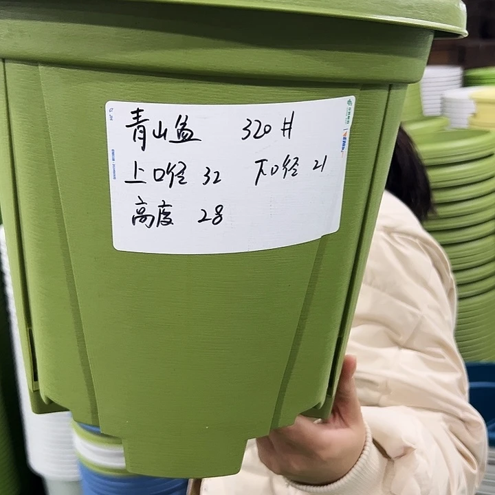 正品青山盆口32高28果绿色无托5只