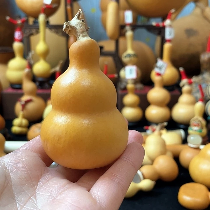 猛****手葫芦丝和我闺女说他长得好像