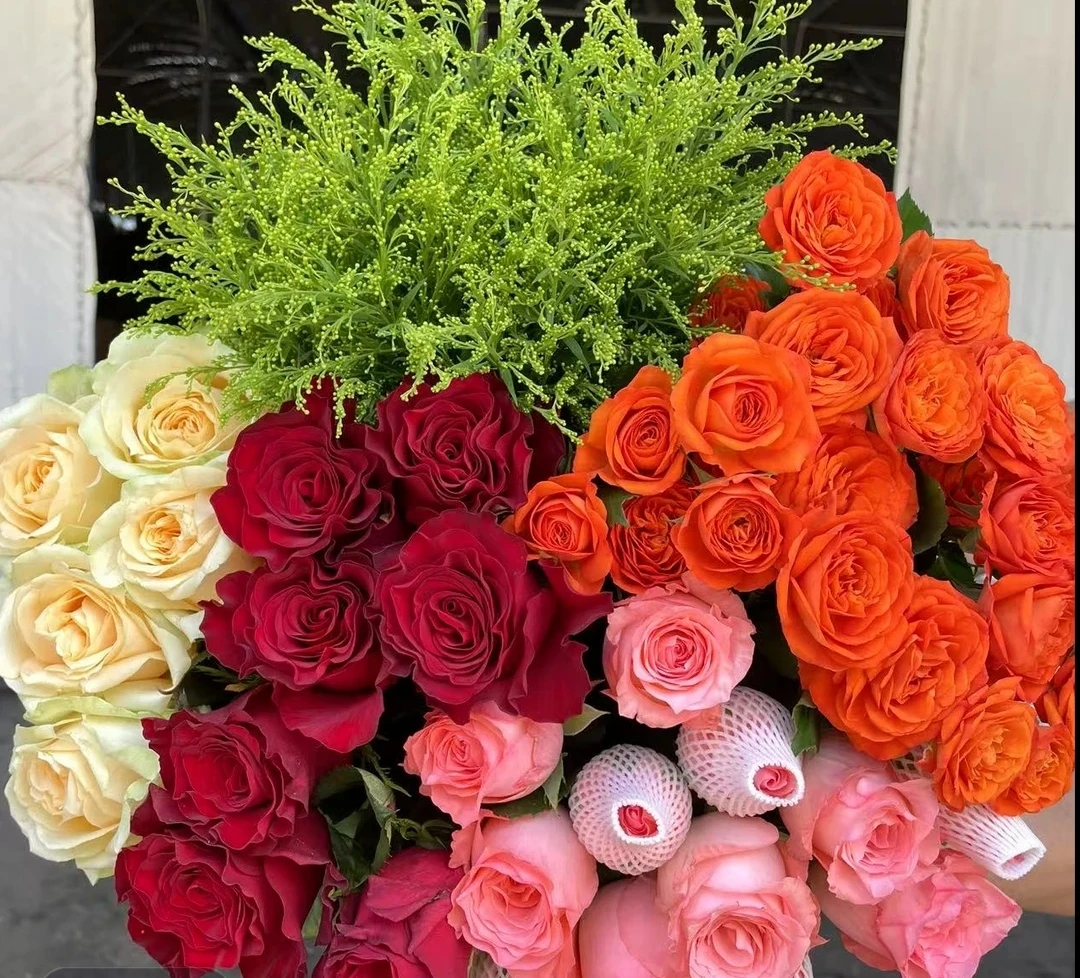 红玫瑰5枝+粉玫瑰5枝+香槟5枝+橙芭比2-3枝+混色小雏菊2-3枝+配草