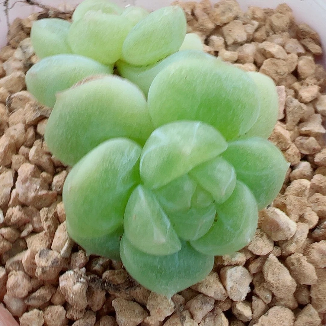 210哈哈哈哈哈哈哈哈