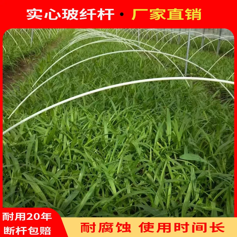 【厂家】农用大棚拱棚支架杆批发菜地种菜爬藤架子玻璃纤维杆支撑杆