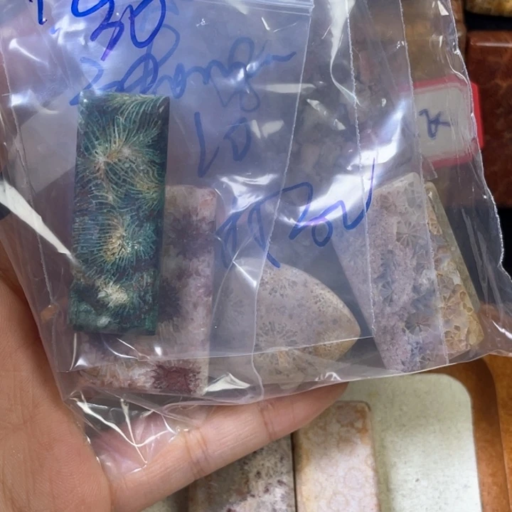 硅化珊瑚（珊瑚玉）珠宝金石合金t****w