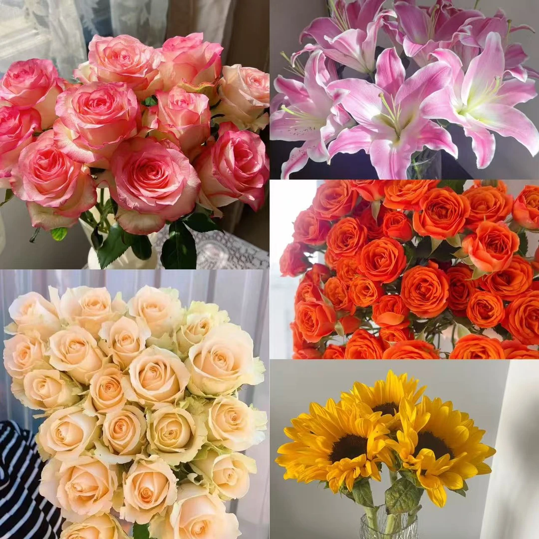 【艾莎香槟百合橙芭比组合】爆款鲜花组合 客厅家居摆件插花鲜切花