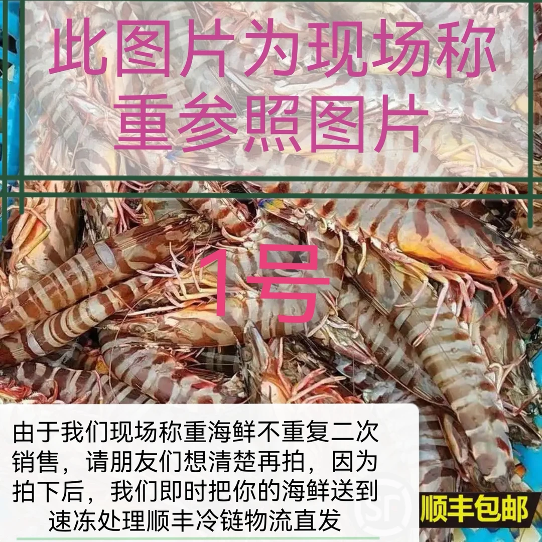 博贺渔港顺丰冷链保鲜直发