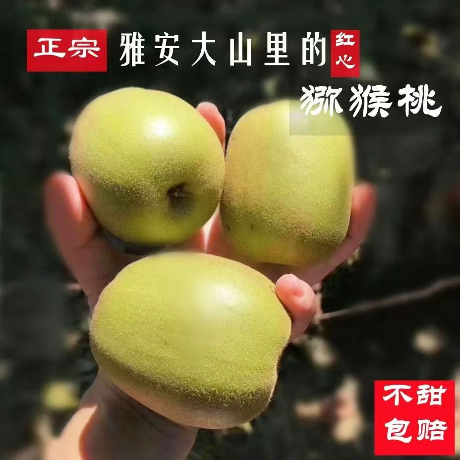 四川雅安红心猕猴桃高山种植奇异果当季新鲜水果香甜原产地包邮