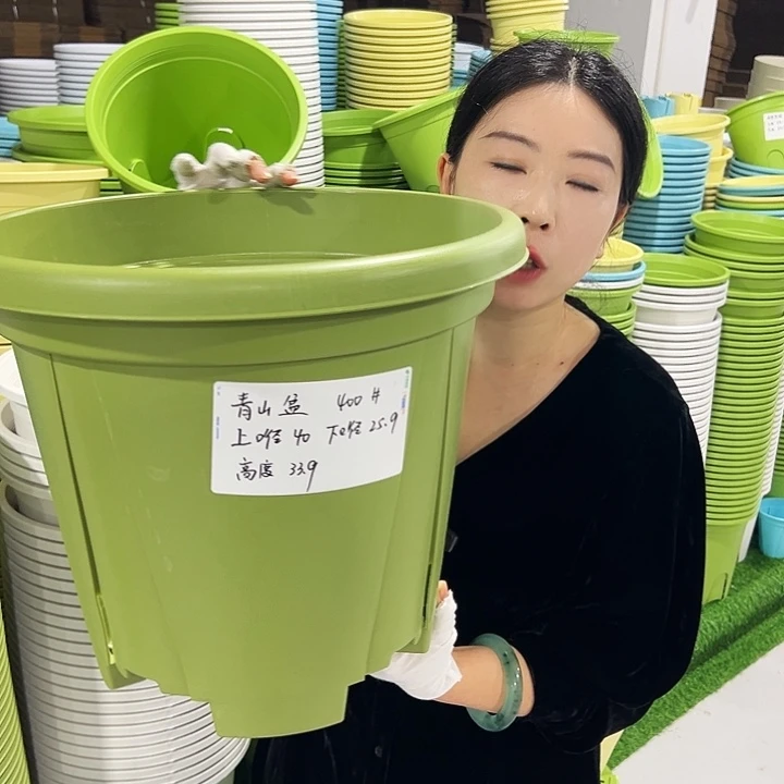 青山口40高34果绿3只无托