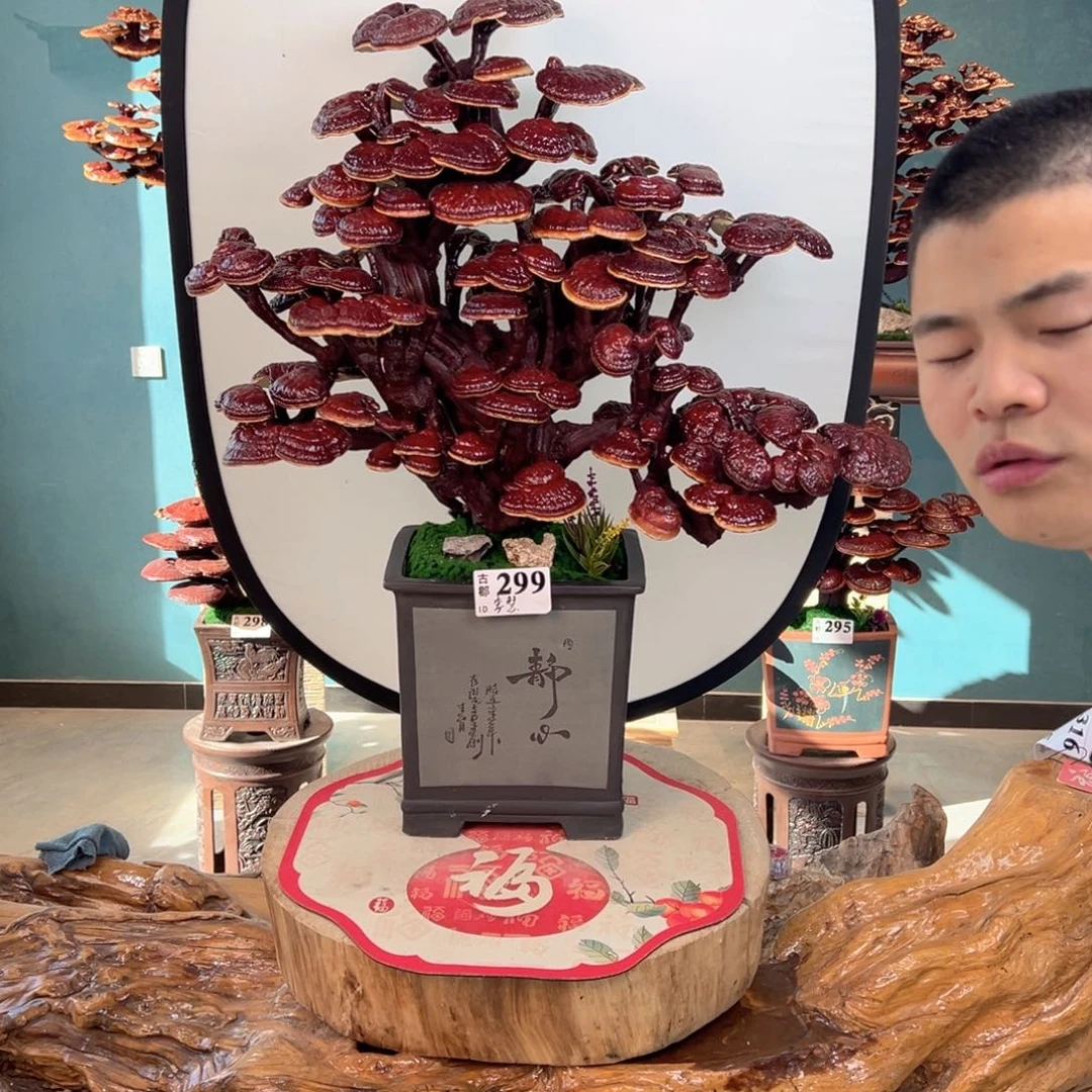 无花朵78888888888