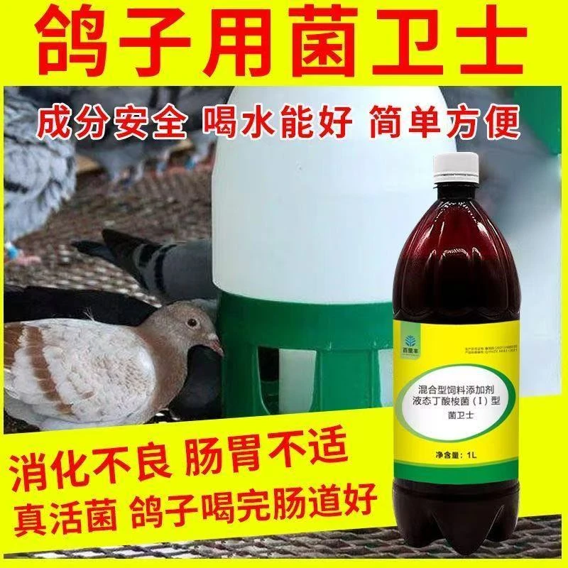 菌卫士鸽用活菌信鸽赛鸽幼鸽拉稀绿便水便鸽子益生菌调理肠道鸟用