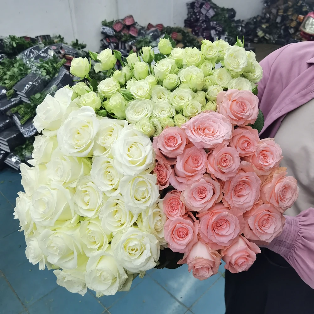 【玫瑰组合】单头玫瑰新鲜鲜花花束云南鲜花基地直发适合客厅装饰