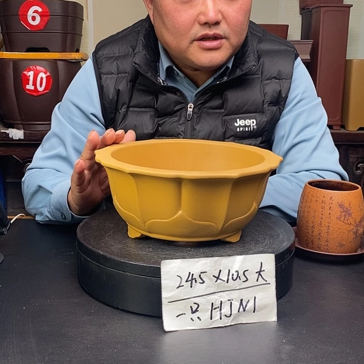 花盆紫砂货号一只HJN1