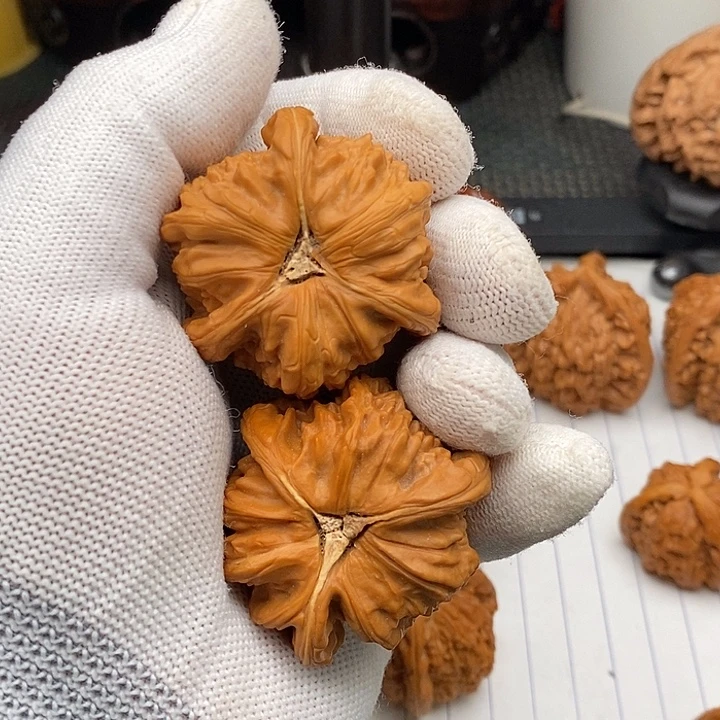 白***️核桃手串/手链拼接白狮7