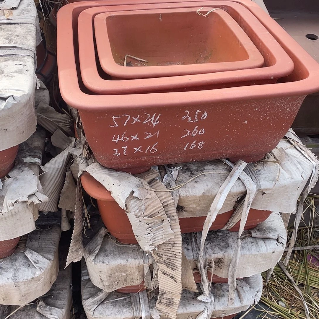 海***湾紫砂大红袍正方盆一组3只