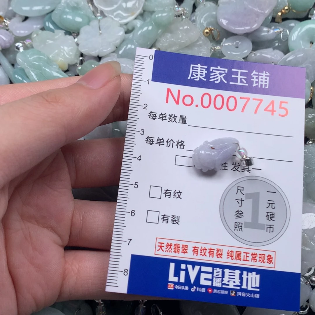 颈饰未镶嵌翡翠x