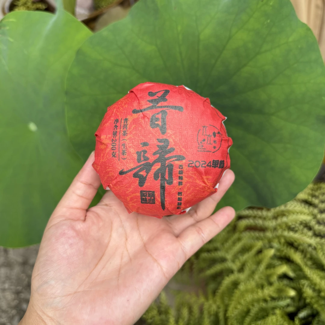 【24年昔归忙麓山】古树单株200g昔归团（红坨）