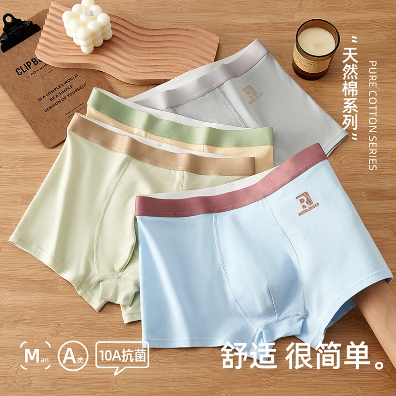 棉致青少年纯棉内裤男童男孩发育期抑菌四角短裤中大童透气平角裤