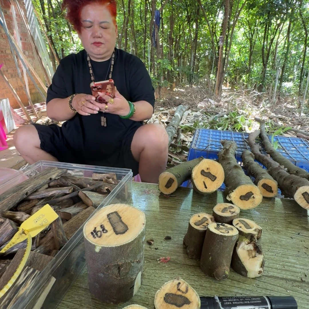 金***哥线香奇楠沉香原木