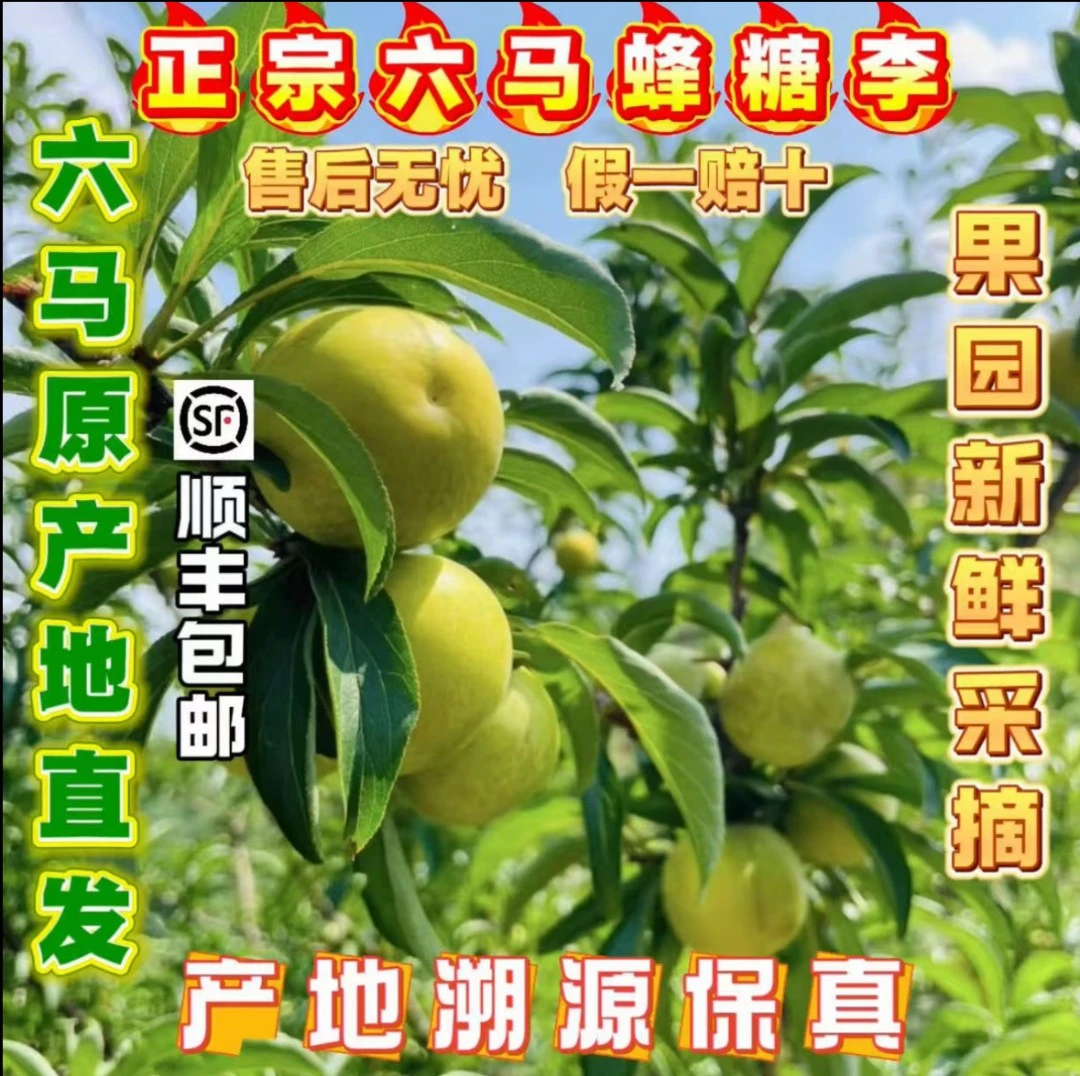 【假一罚十】正宗贵州镇宁六马蜂糖李现摘现发带产地溯源码