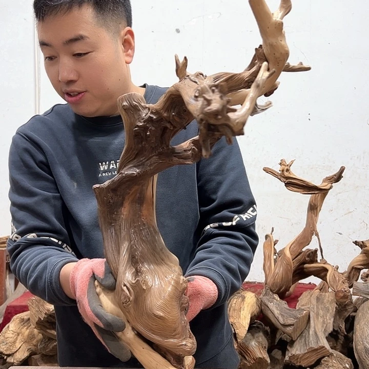 柏木阿**木我们都是好孩子呀我也是