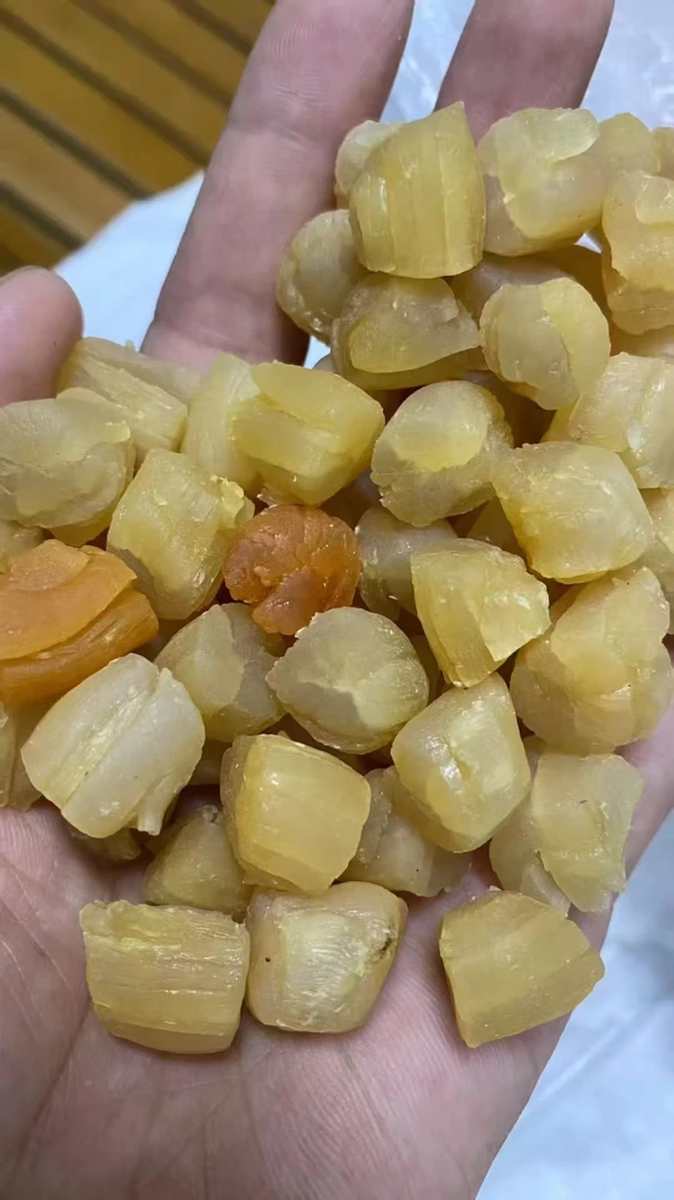 优质瑶柱干贝深海扇贝煲汤煲粥营养美味