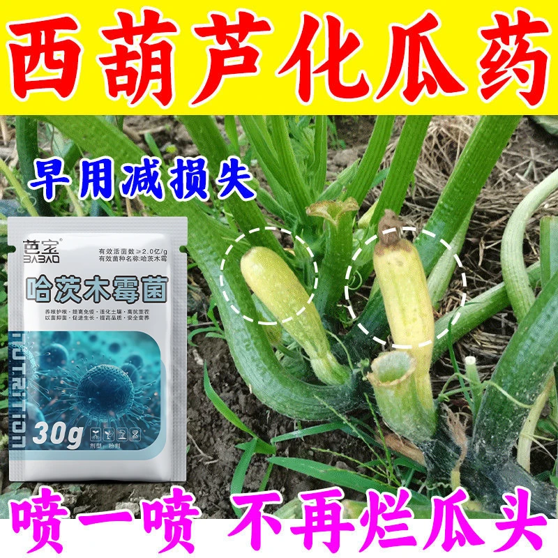 西葫芦病害专用花脸病银叶病软腐病叶枯病白粉病西葫芦专用菌剂