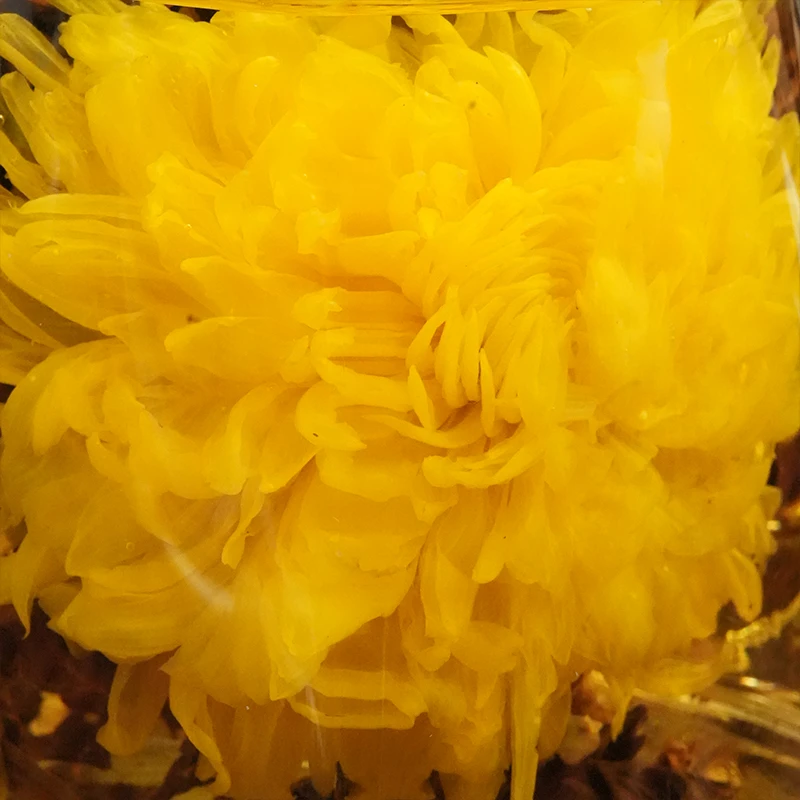 白莺山帝王菊花绣球 君君收茶 菊花白茶龙珠