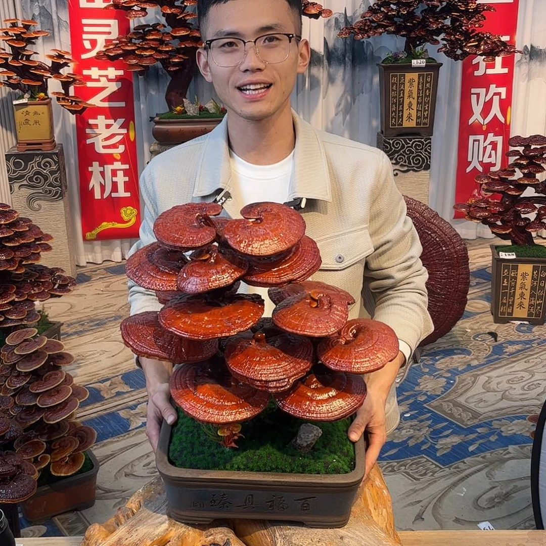 无花朵888888888888