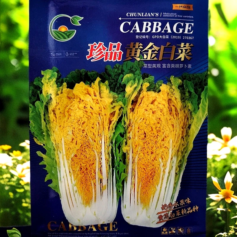 黄金白菜种子10克左右