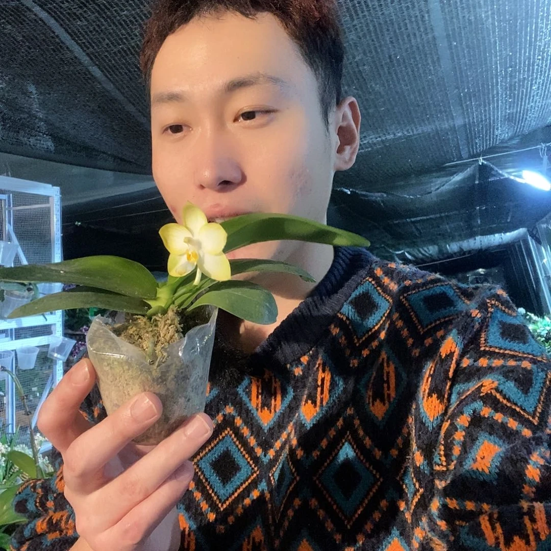 无花朵柠檬汽水带花