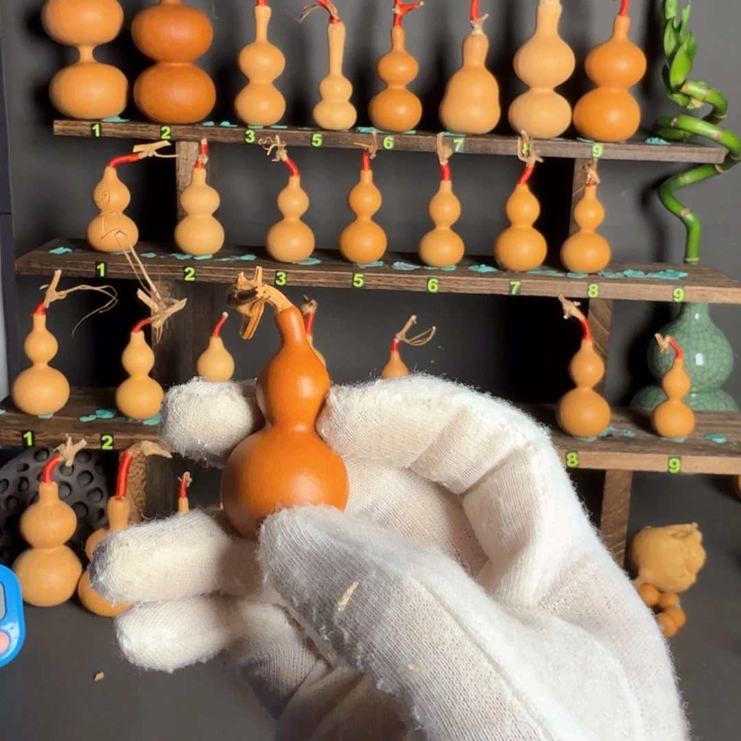 4***T葫芦葫芦葫芦葫芦葫芦葫芦