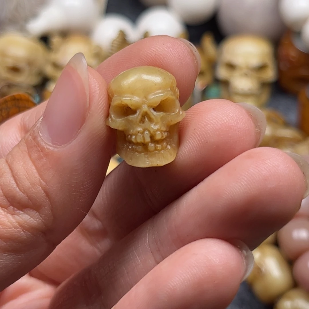 其他鹿骨人工养殖鹿角34