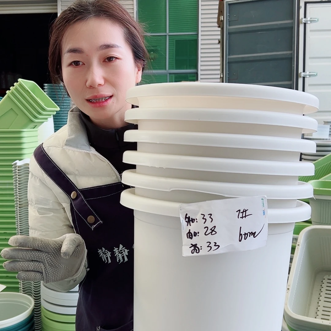 瑕疵四季盆7#白色6个无托