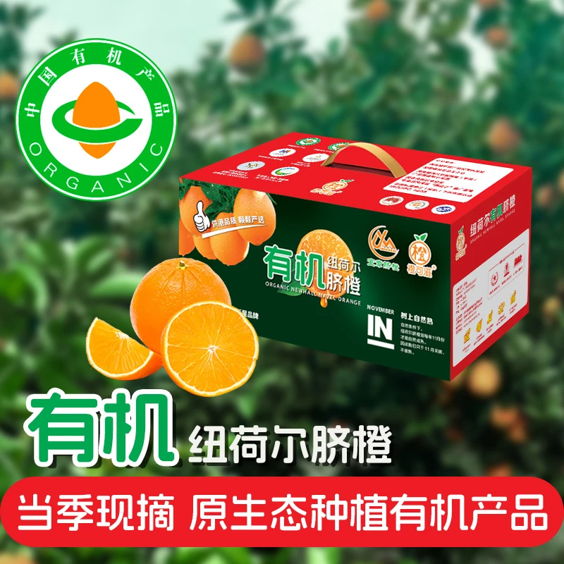 橙可滋【有机脐橙】纽荷尔脐橙供港严选无农残无保鲜剂正宗赣南品种