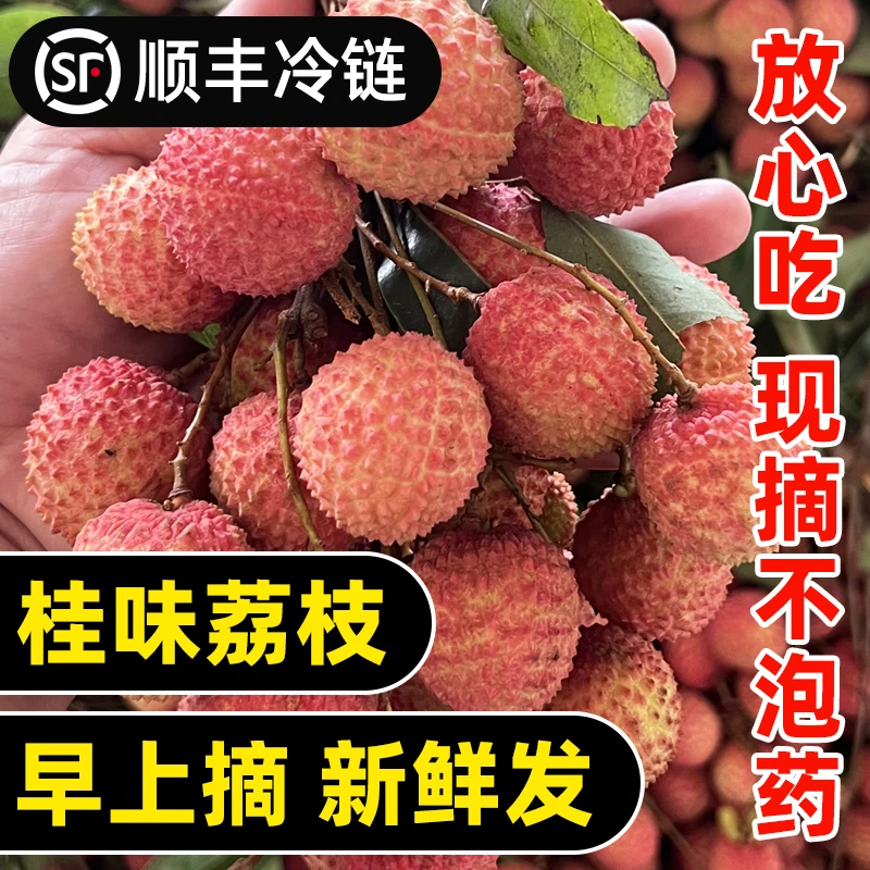 正宗广东茂名高州桂味荔枝纯甜新鲜果园现摘现发当季水果整箱包邮