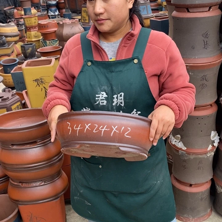 紫砂花盆盆栽花卉苗木种植