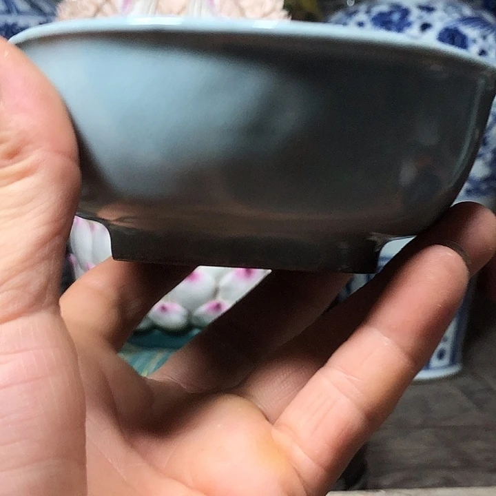 瓷***珍壶我是不是应该在一起