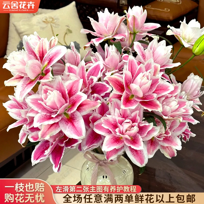 【云舍花卉】【火星之恋】重瓣百合 全场任意满两单及以上鲜花包邮
