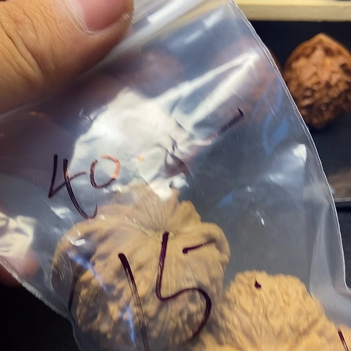 雅***子核桃三十一号文玩核桃