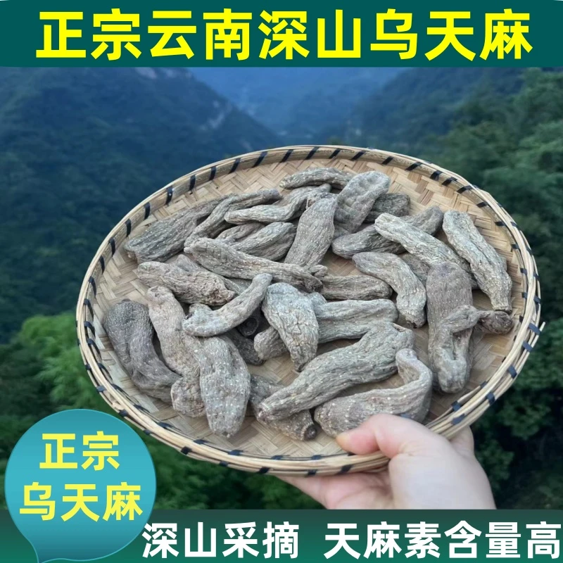 农家乌天麻正品天麻个可切片磨粉不掺假深山乌天麻正宗云南乌天麻