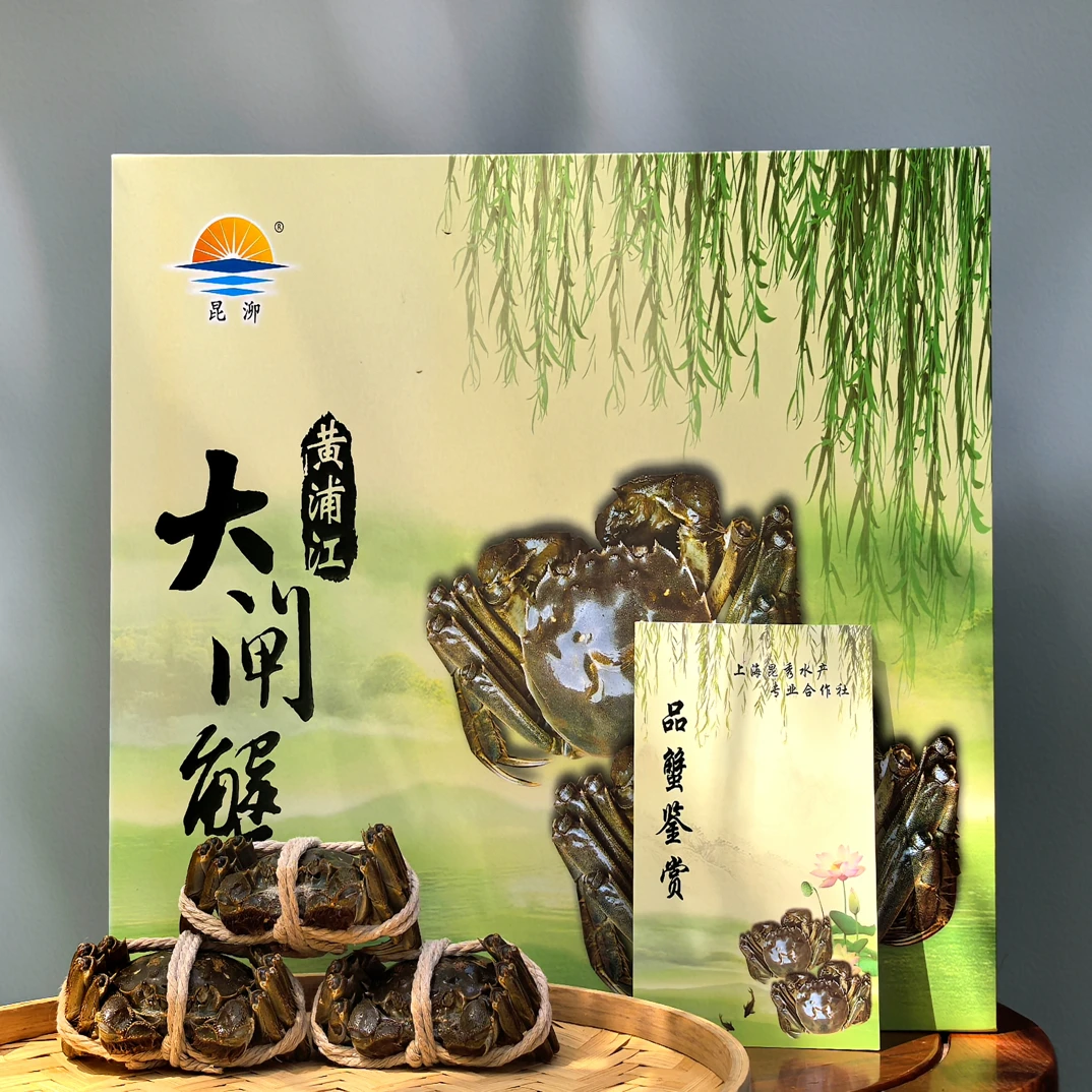 昆泖黄浦江大闸蟹 活蟹 母蟹2.9-3.0两*6/8/10只 江浙沪包邮发货
