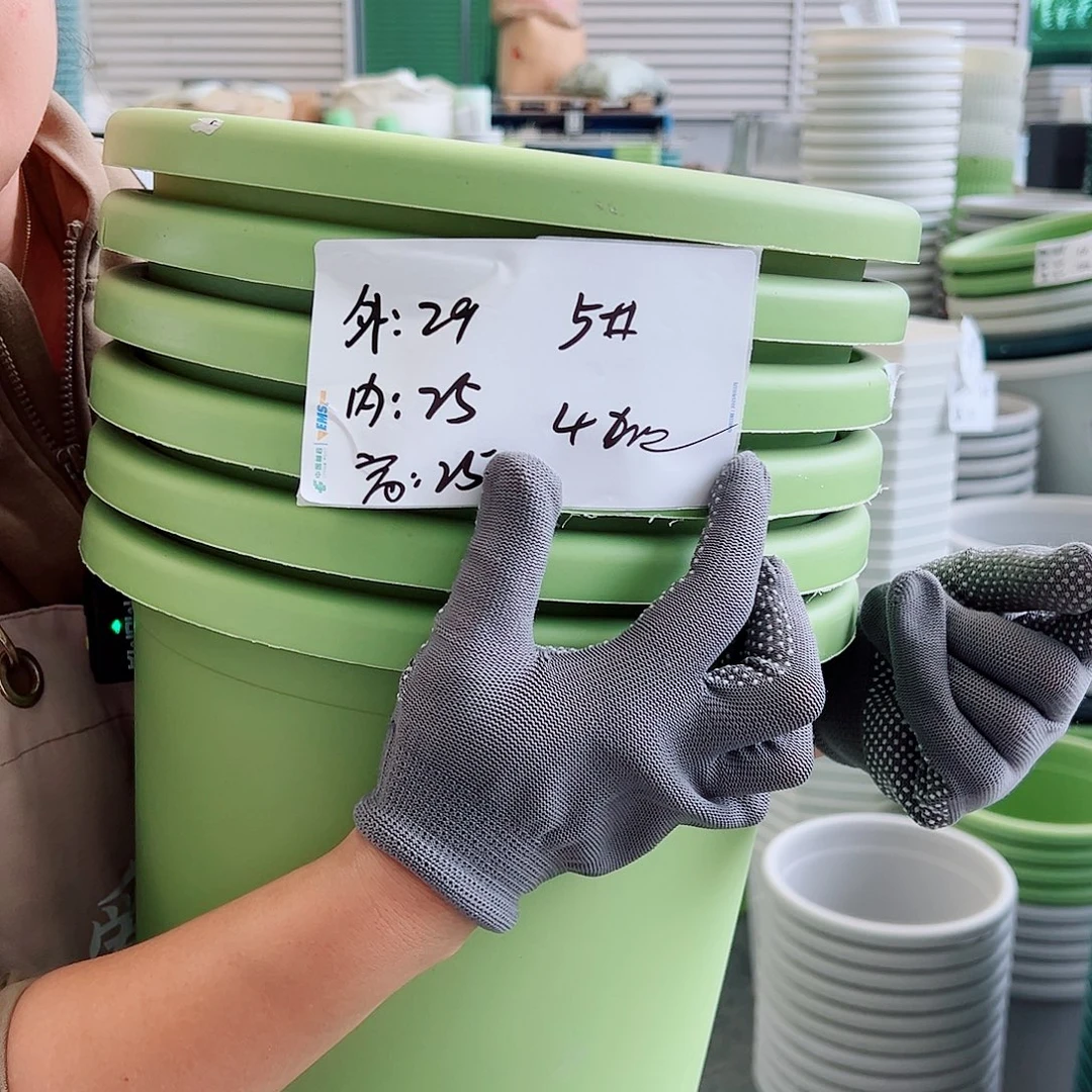 四季盆5#果绿色6个无托
