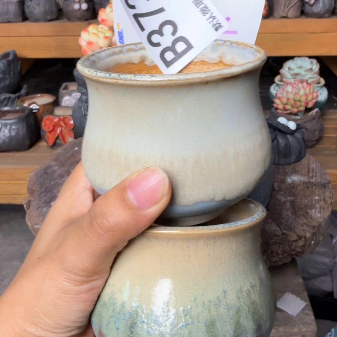 重庆小燕子欢迎大家373