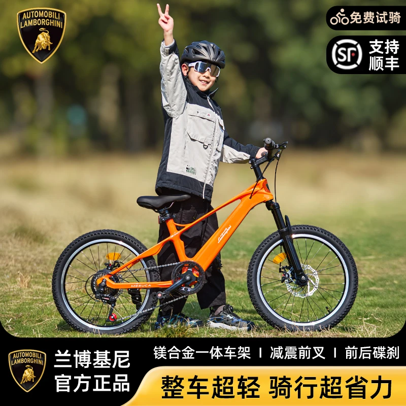 兰博基尼青少年山地自行车男女学生减震防滑儿童镁合金单车 大牛