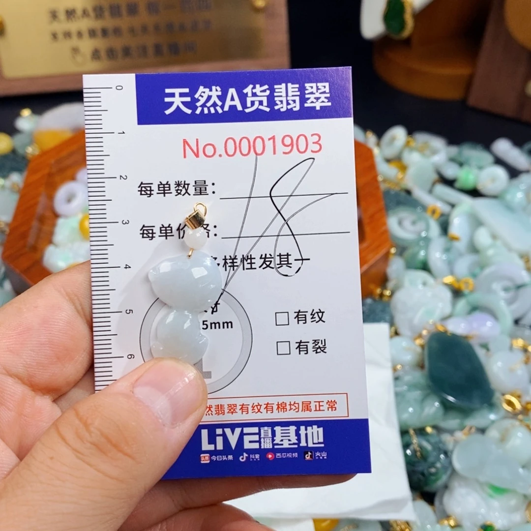 颈饰未镶嵌翡翠1903