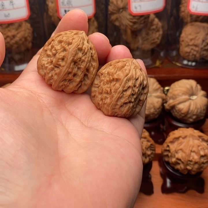 核桃麻核桃白狮子31