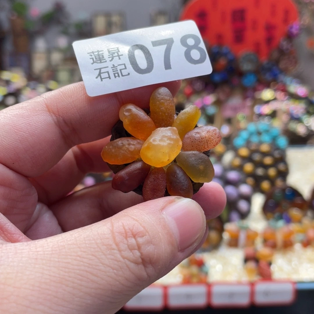 核桃木/黑胡桃（胡桃木）菁*儿078